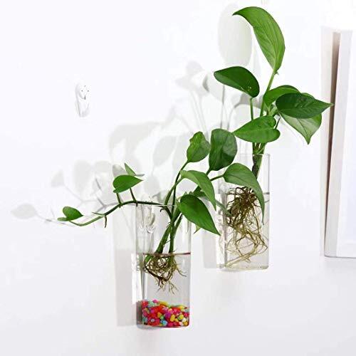 Paquete de 2 macetas colgantes de pared vidrio estación de propagación de plantas hogar oficina decoración - Imagen 6 de 7