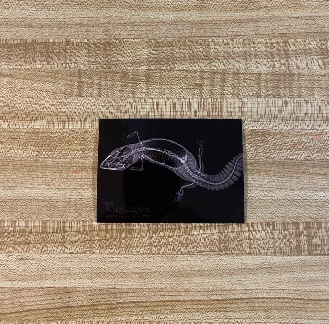 Picture 6 of 7