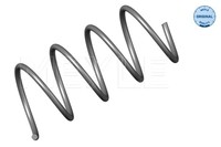 Tragfeder DB P. W203
