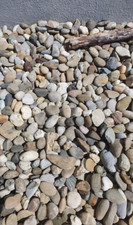 Buntkies Rheinkies 16-32 mm, Zierkies