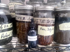 Certified Organic PEACE OF MIND tincture (Saffron, Damiana, Kanna, + more, 2oz) 