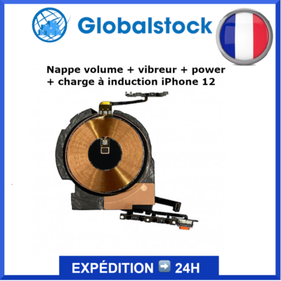 Nappe Cavo Con Pulsanti Power+Flash+Volume+Vibrazione Per IPhone 6s/6s Plus