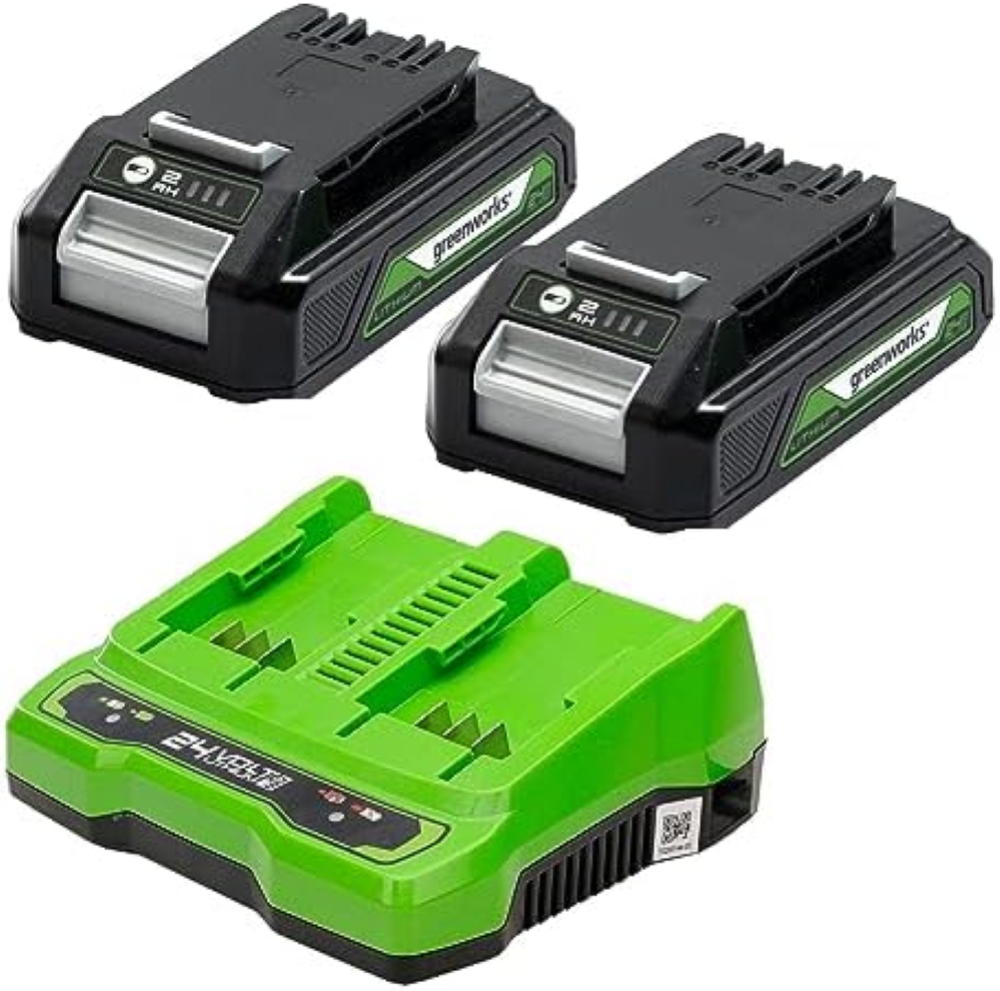 Greenworks Batterie 24V e Caricabatterie a Doppio Slot Originali Greenworks - 2