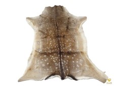 XXL Hirschfell Teppich Damwild Echtfell Groß ca. 118cm Deko Vintage Bar Design