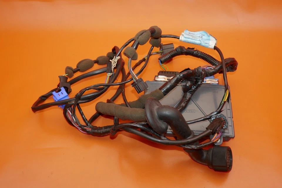 JAGUAR XK8 ARNÉS DE CABLES PUERTA DERECHA 1997 1998 1999 2000 2001 2002 2003 LJC3190BD Foto 2 de 4