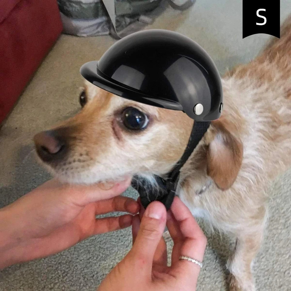 Dog Helmet for Small Dogs, Motorcycle Dog Helmets Chihuahua Helmet, Outdoor Bike | eBay Dog Helmet for Small Dogs, Motorcycle Dog Helmets Chihuahua Helmet, Outdoor Bike | eBay