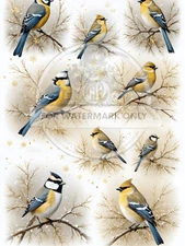 Winter Sparrows | A4 Rice Paper | Paper for Decoupage | Decoupage Central
