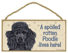 A Spoiled Rotten Poodle lives here  Black Dog Sign 5"x10" USA Wood Plaque 122