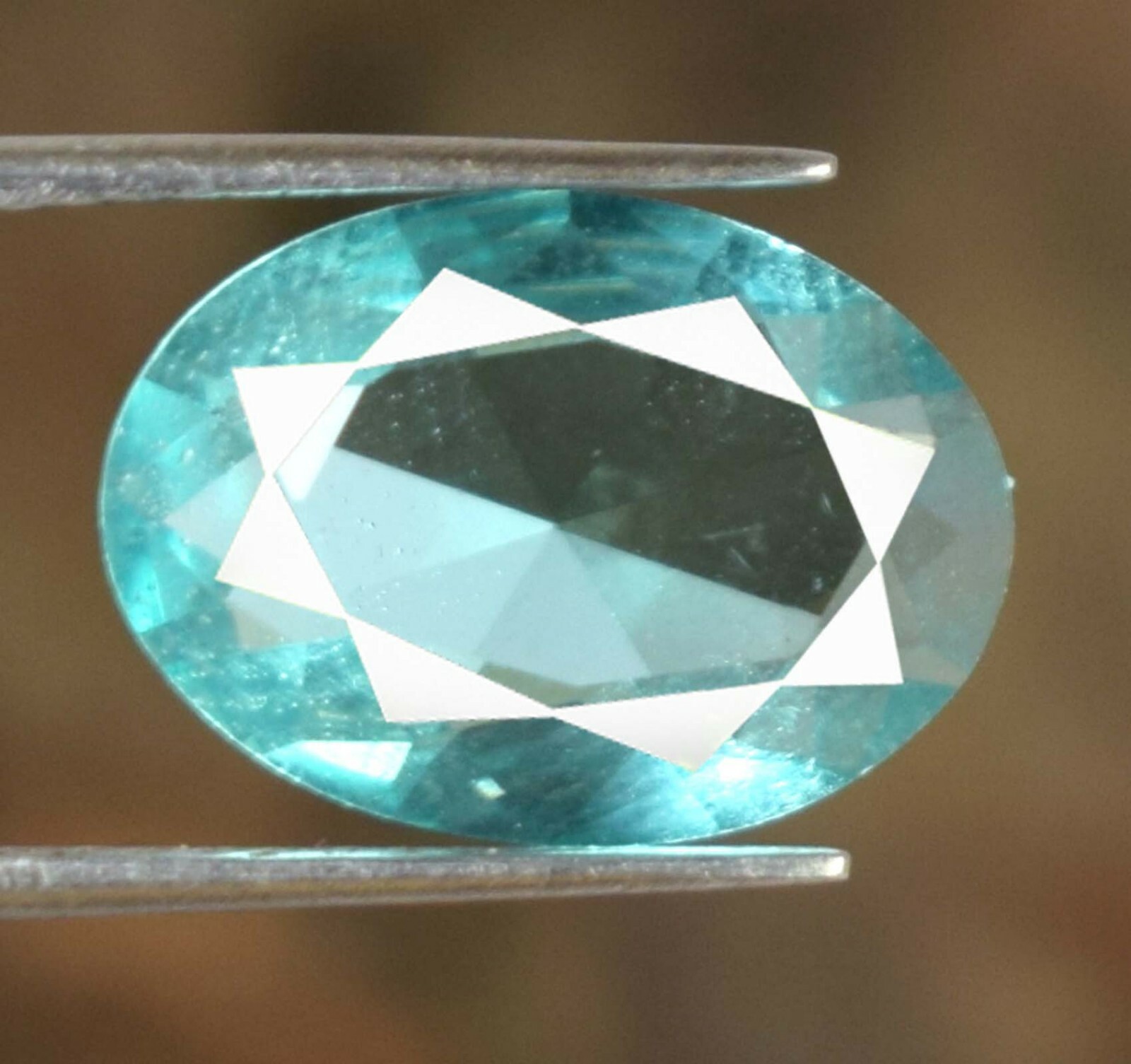 Pierre Améthyste Prasiolite 23,30 Ct - Belle Coupe Octogonale - Neuf Sans Emballage
