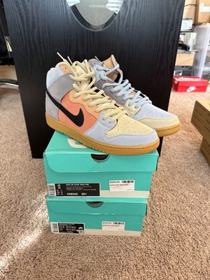 Nike Dunk Pro SB High Spectrum CN8345-001