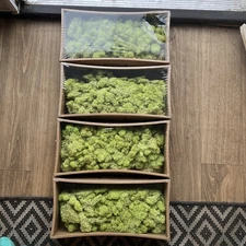 Light Green Artificial Moss, 13oz per box, 4 boxes