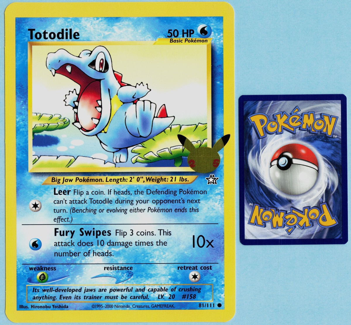 Pokemon Card JUMBO Totodile First Partner 25th Anniversary 