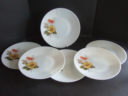 Vintage Pyrex Autumn Gold/Glory 10" Essteller x 6