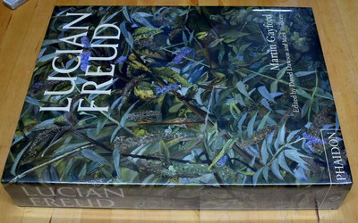 Lucian Freud, Gayford, Martin, New Book | eBay UK