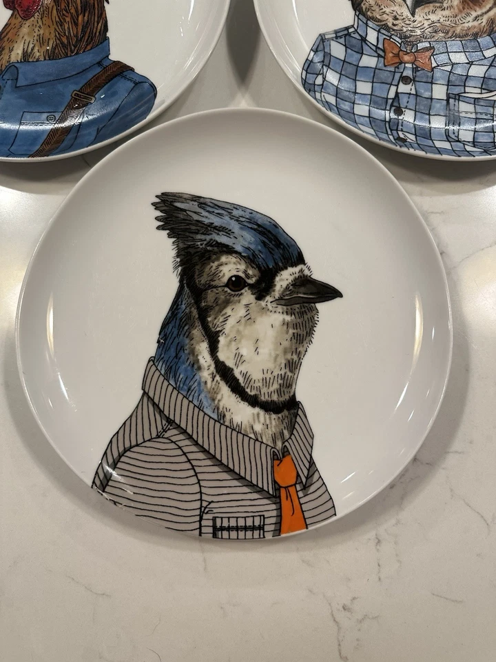 Platos de ensalada de animales gallo Rachel Kozlowski/West Elm Dapper/Búho Blue Jay (3) Foto 4 de 4