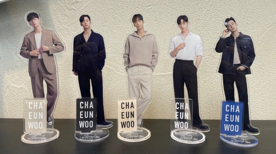 DASHU CHA EUN WOO トレーディングカード 14枚セット トレーディングカード[全166種/3枚セットランダム] – INI GOODS