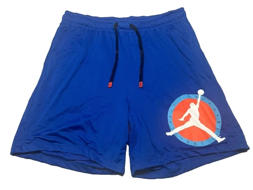 Jordan Blue Shorts for Men
