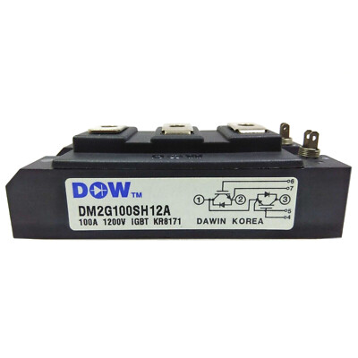 1PCS NEW DM2G100SH12A DAWIN power supply module