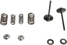 Kibblewhite Intake Valve/Spring Stainless Con...
