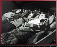 Doctor Who original 10 x 8