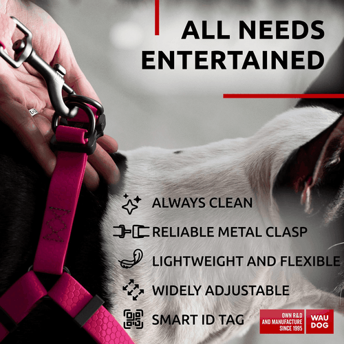 Waterproof Dog Harness Adjustable Dog Harness for Large Dogs Small and Medium - Picture 5 of 6