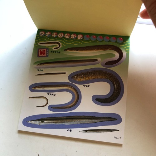 FISH Japanese Stickers book 274 stickers Shogakkan NEO Book Series - Picture 6 of 20