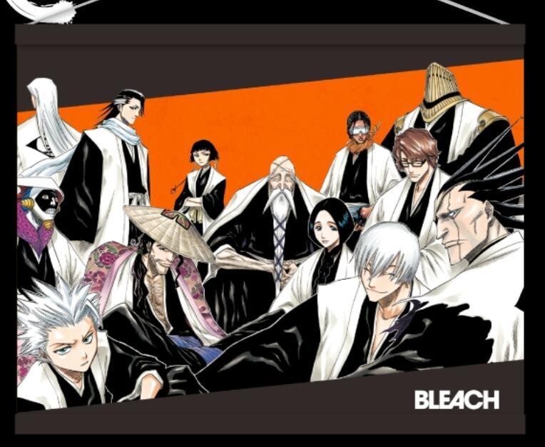 BLEACH Old and New Gotei 13 Tapestry Fan Set Character Goods Tite