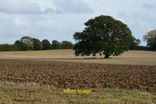 Photo 12x8 Field at Manor Farm, Hampshire Burridge Part of the Manor Farm  c2012