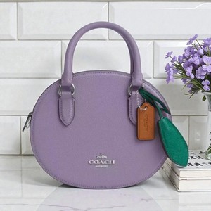 Coach Blueberry Crossbody | eBay