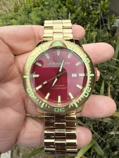 ARAGON A312 MATADOR 50MM RED DIAL IP GOLD NH35 JAPANESE AUTOMATIC WATCH