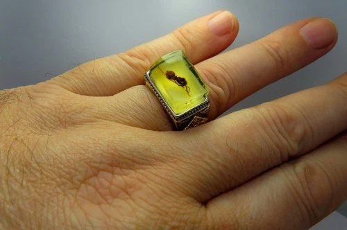 925 Sterling Silver Big Mens Ring w Fossil insect ANT inclusion in BALTIC AMBER