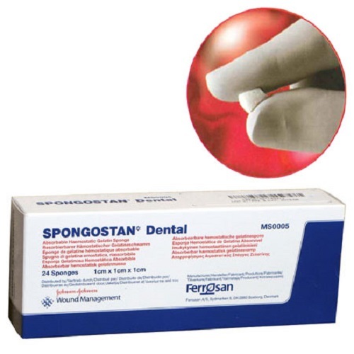 Absorbale Hemostatic Gelatin Dental Sponge 1cm x 1cm x 1cm Box 24