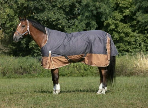 Regendecke aus Polyester