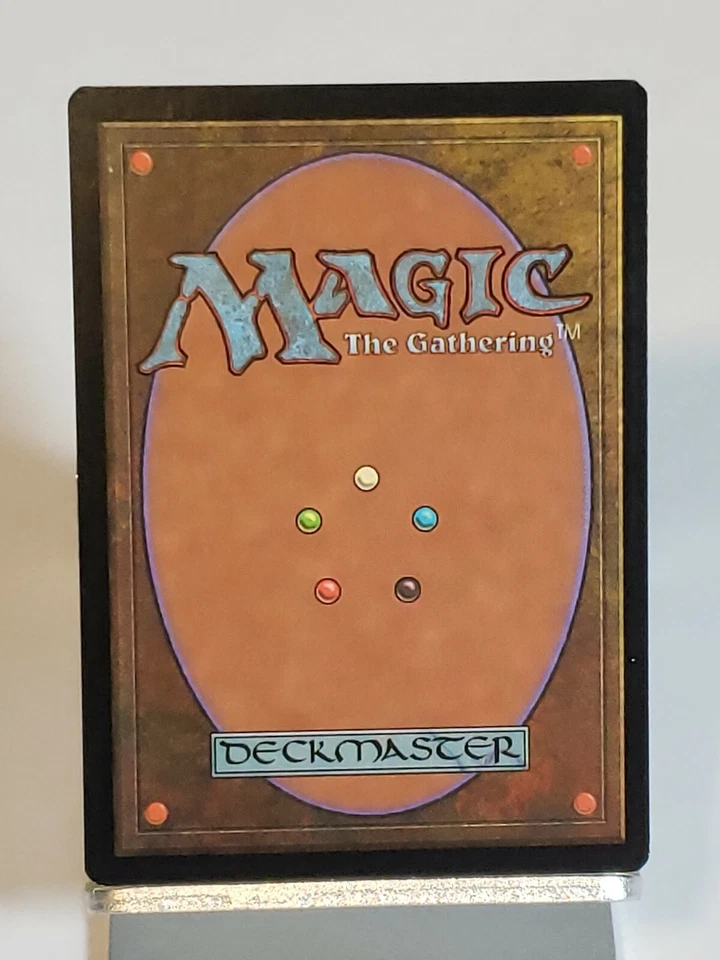 MTG Forest Portal 206 Regular Land Magic - Image 4 of 4