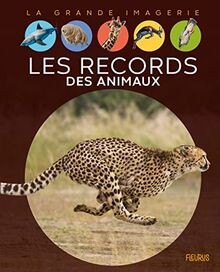 Les records des animaux von Franco, Cathy | Buch | Zustand sehr gut