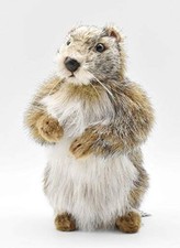 Hansa Baby Mamot Plush Animal Toy (Groundhog)  9