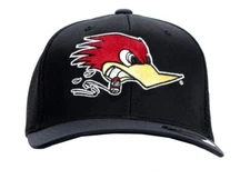 Men's Mr. Horsepower Black Classic Large Logo Flex Fit Fitted Hat H40 SM-MD