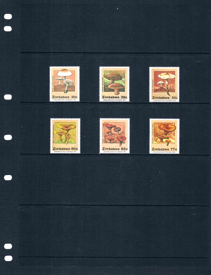 1/3 de descuento valor Scott de $5,50 - 1992 setas hongos africanos CV MNH NH UMM Foto 2 de 4