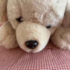 New Adopt A Pets FAO Schwarz Puppy Plush Toy 10 Inch