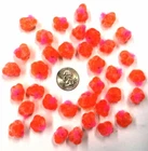 Pink Spawn Sacs, 36 ct, Harvested/Cured/Certified in Mich, Fishing Bait #SS12VP