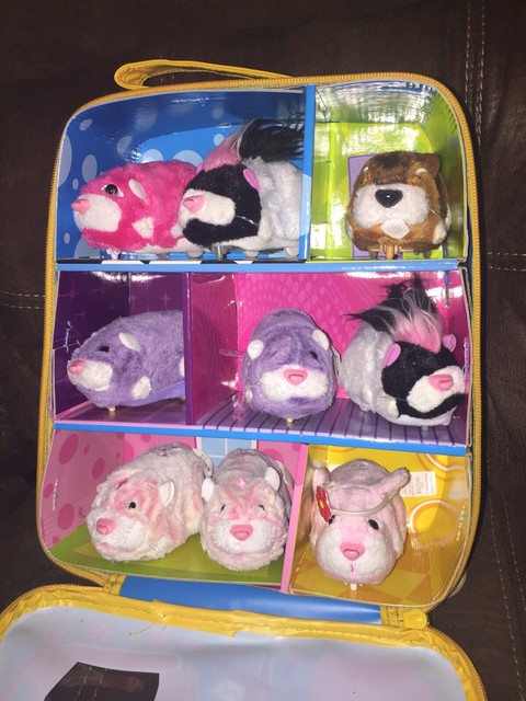 zhu zhu pets for sale