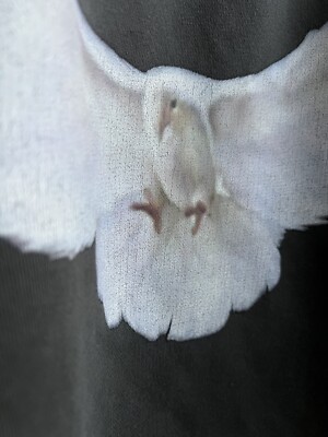 YEEZY Gap Engineered by Balenciaga DOVE Hoodie XL Authentic YEEZY Gap Engineered by Balenciaga DOVE Hoodie XL Authentic