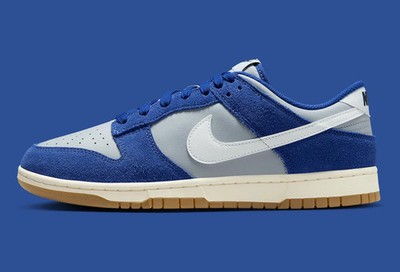 Nike Dunk Low Retro SE Deep Royal Blue Wolf Grey Gum IB6399-003 sz