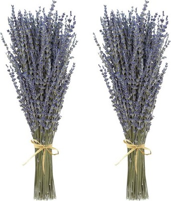 Trockenblumen Lavendelstrauß Deko Provence Boho Getrocknet Duft 40cm 2 Stück