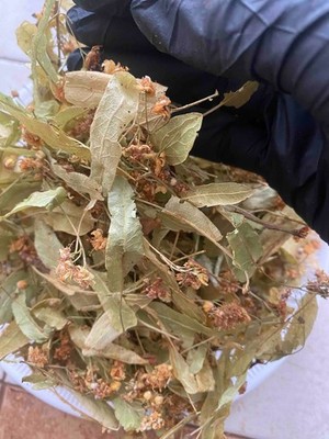 Linden Flower Dried Herbal Tea