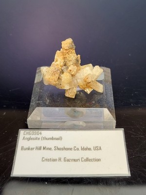 UNIQUE Anglesite (TN) Bunker Hill Mine, Idaho, USA. Ex Gazmuri Collection 