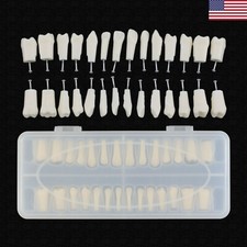 1 Set 28pcs Dental Typodont Teeth Replacement with Screws Kilgore Nissin 200 Fit