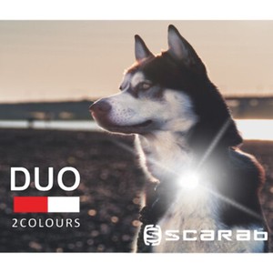 waterproof dog light