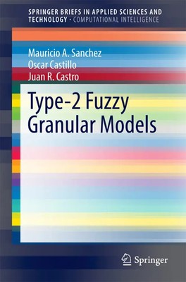 Type-2 Fuzzy Granular Models Mauricio A. Sanchez (u. a.) Taschenbuch viii 2016