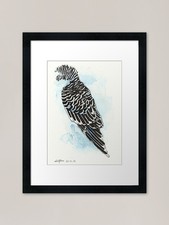 Bird Wing Framed Art Print Framed Wall Art Poster Canvas Print Picture